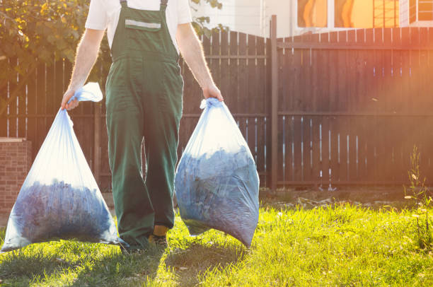 Best Shed Removal  in Lamont, MI